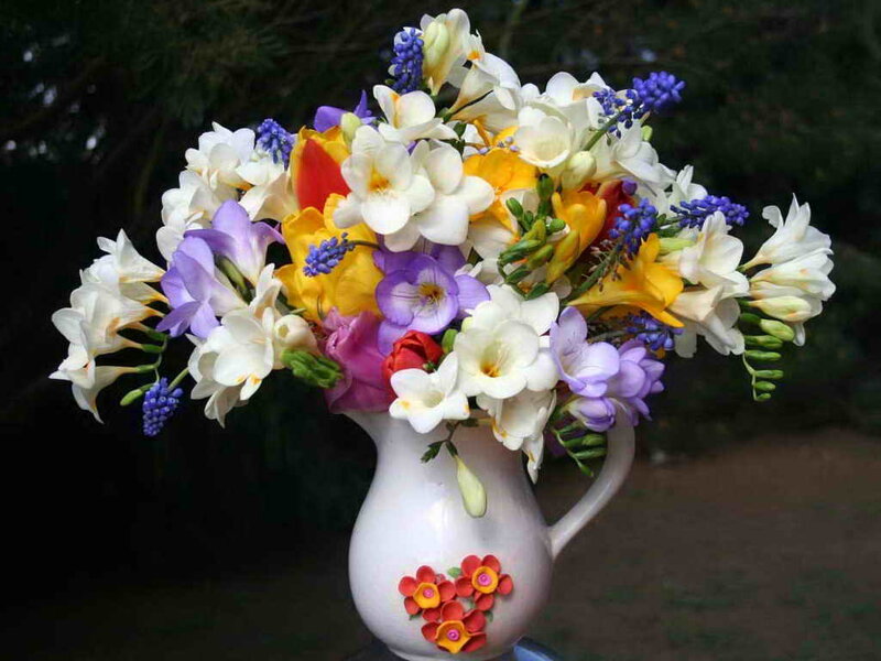 Colorful Flower Bouquet — White, Calm