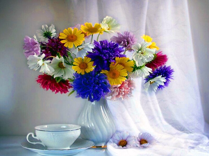 Colorful Flower Bouquet — White, Serene