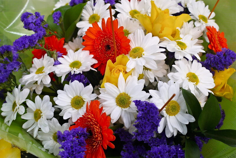Colorful Flower Bouquet — White, Vibrant, Photograph, Daisies