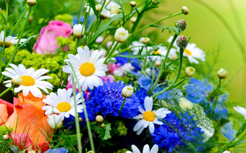 Colorful Flower Bouquet — White, Vibrant, Spring