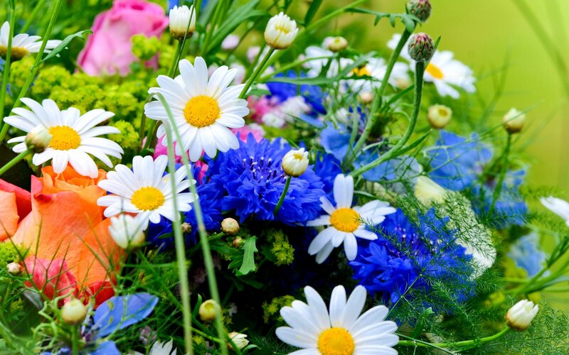 Colorful Flower Bouquet — White, Vibrant, Summer