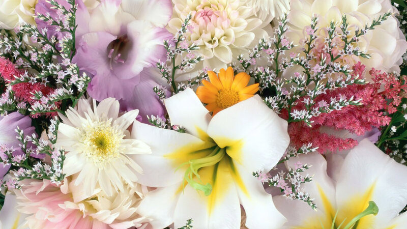 Colorful Flower Bouquet — White, Vibrant