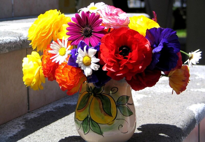 Colorful Flower Bouquet — Yellow, Bright, Afternoon, Photograph, Vase, Daisies