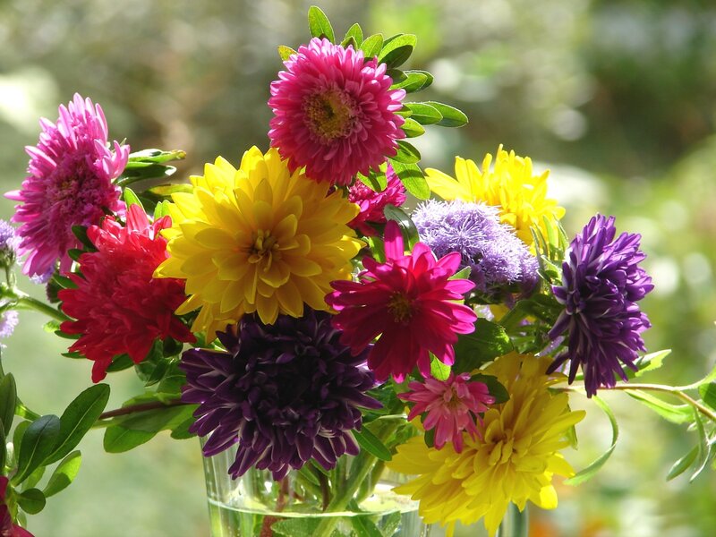 Colorful Flower Bouquet — Yellow, Bright, Afternoon, Photograph, Vase, Green Leaves