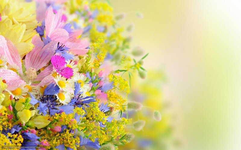 Colorful Flower Bouquet — Yellow, Bright, Spring, Photograph, Daisies