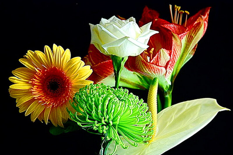 Colorful Flower Bouquet — Yellow, Dramatic