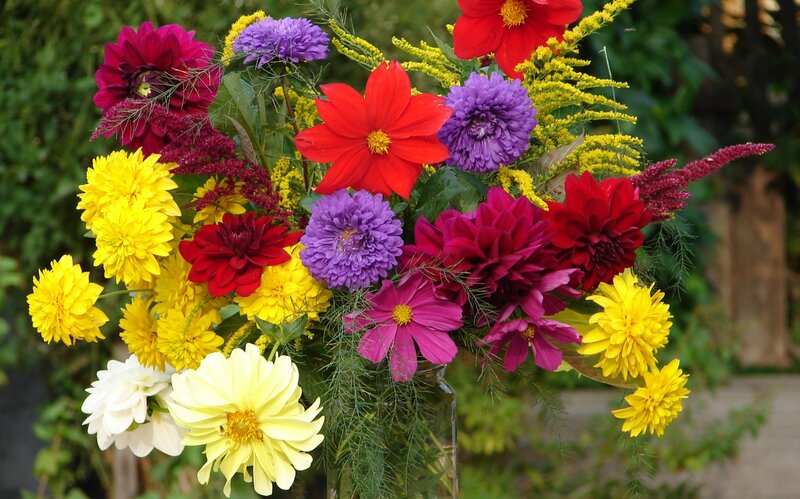 Colorful Flower Bouquet — Yellow, Vibrant, Afternoon, Photograph