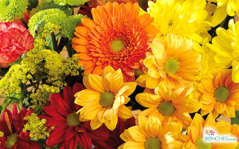 Colorful Flower Bouquet — Yellow, Vibrant, Photograph, Carnations