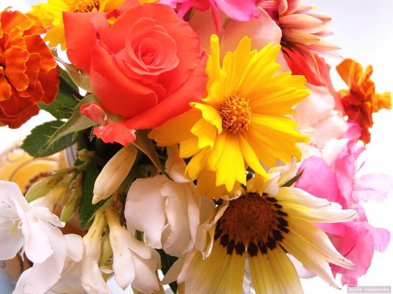 Colorful Flower Bouquet — Yellow, Vibrant, Photograph, Rose