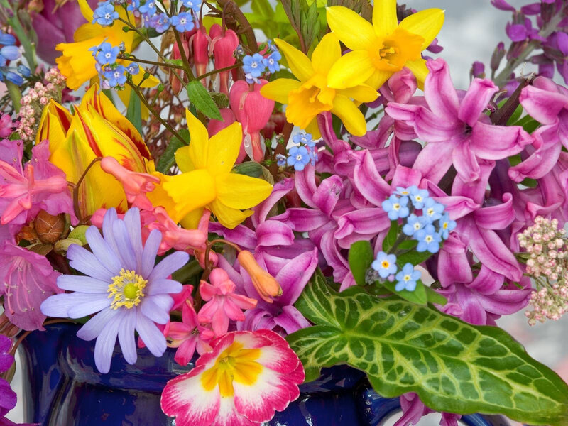 Colorful Flower Bouquet — Yellow, Vibrant, Spring, Photograph, Daffodils