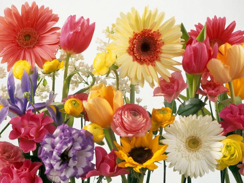 Colorful Flower Bouquet — Yellow, Vibrant, Spring, Photograph