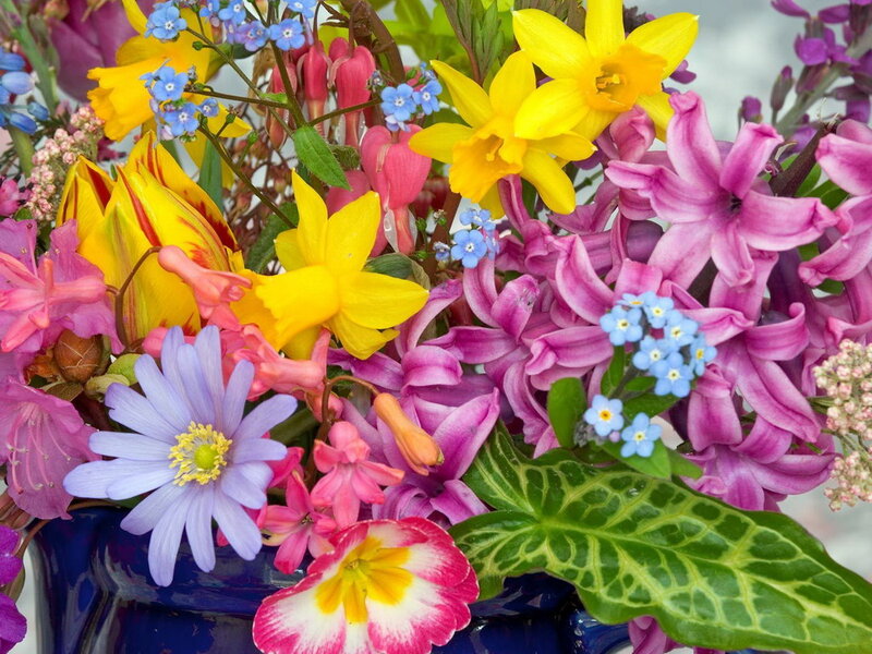Colorful Flower Bouquet — Yellow, Vibrant, Spring