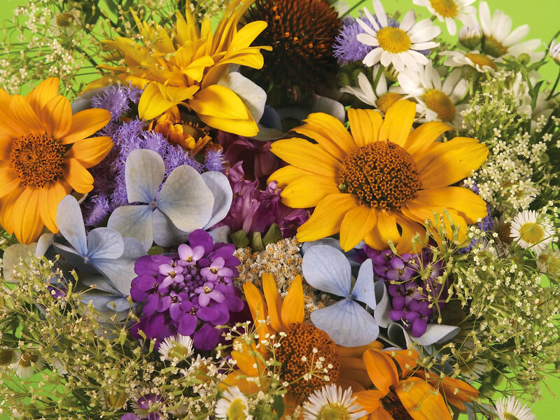 Colorful Flower Bouquet — Yellow, Vibrant, Summer, Photograph