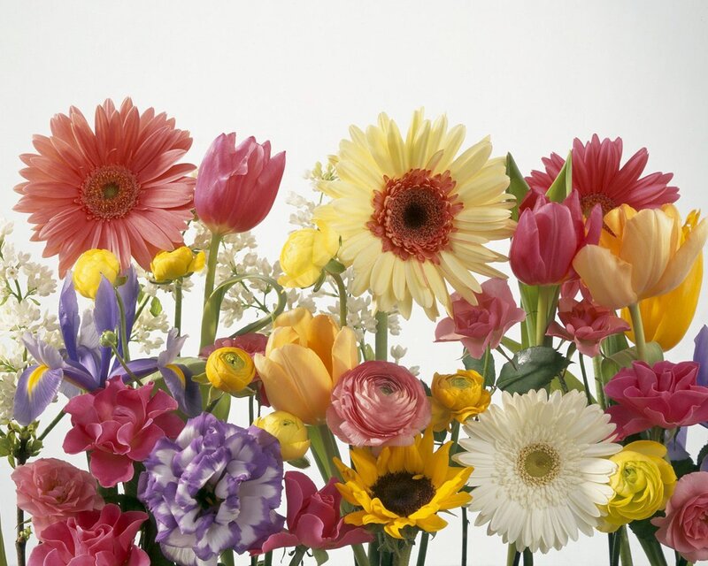 Colorful Flower Bouquet — Yellow, Vibrant