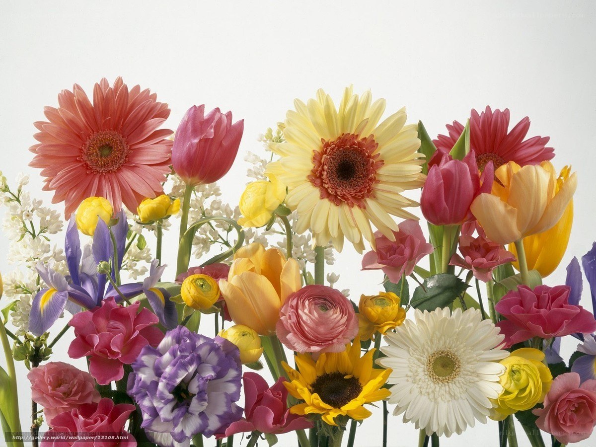 Colorful flower bouquet