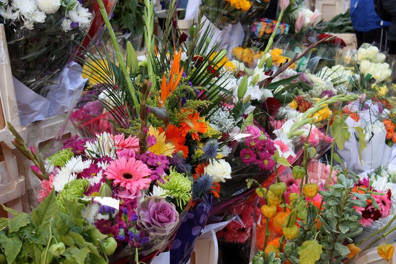 Colorful Flower Bouquets — Pink