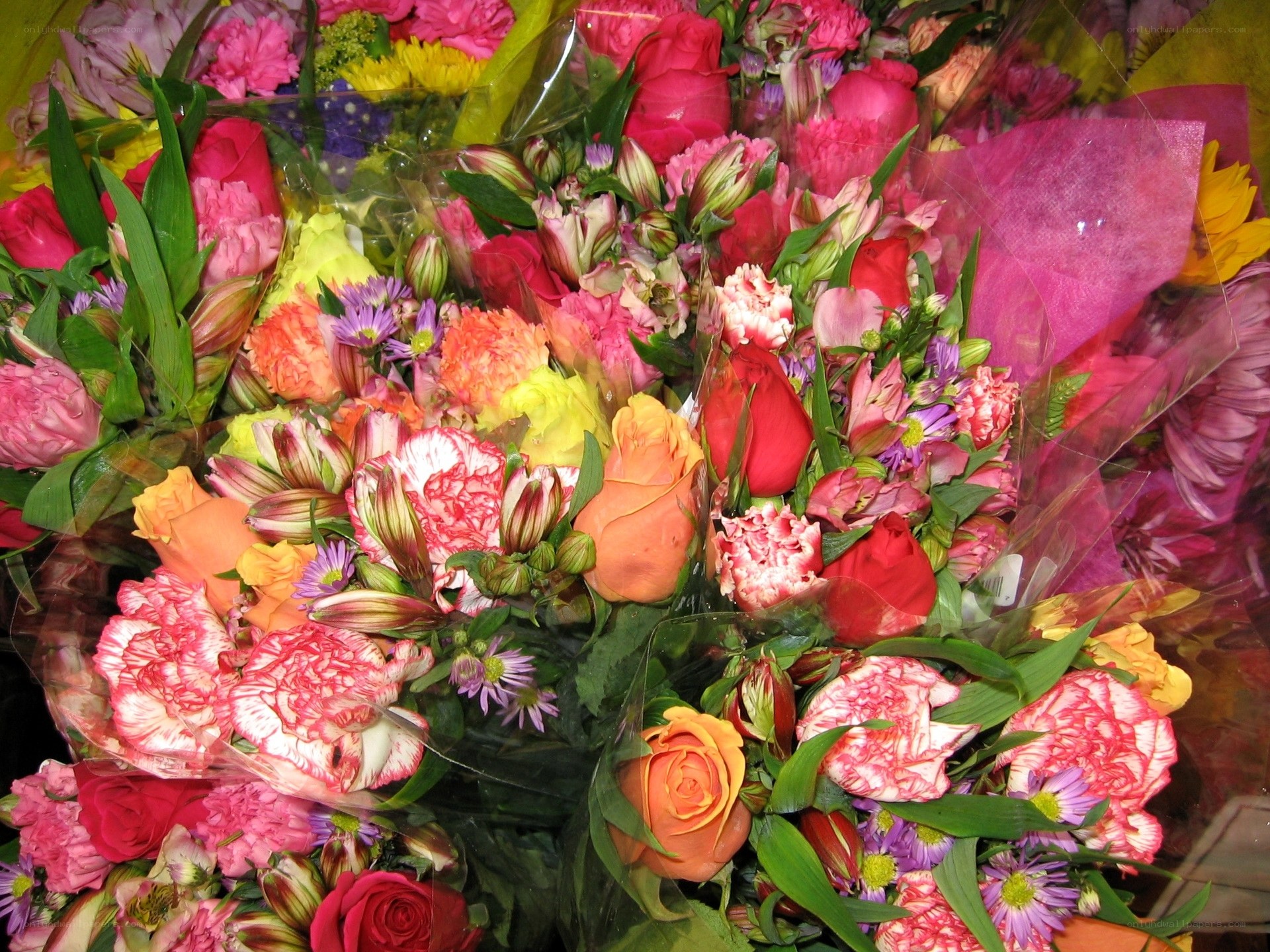 Colorful flower bouquets