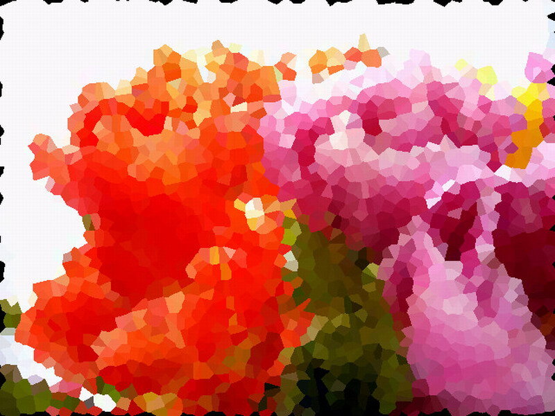 Colorful Flower Cluster — Red