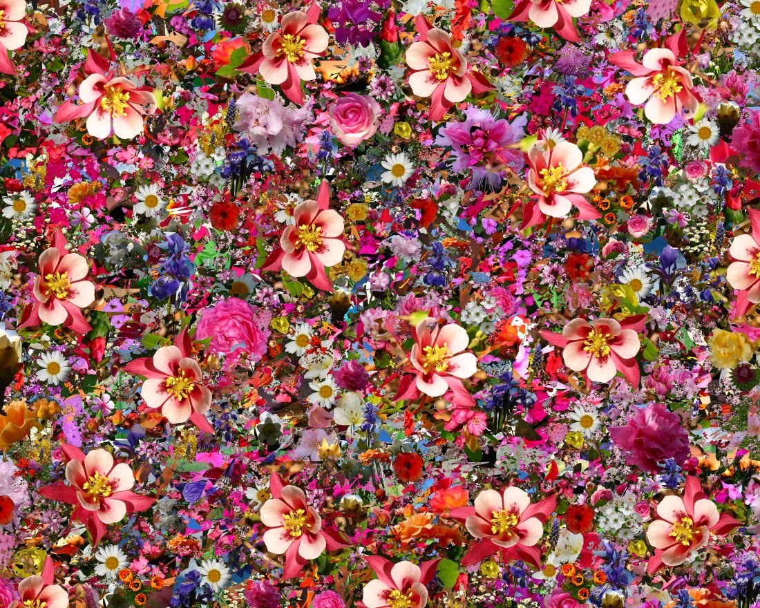 Colorful flower collage