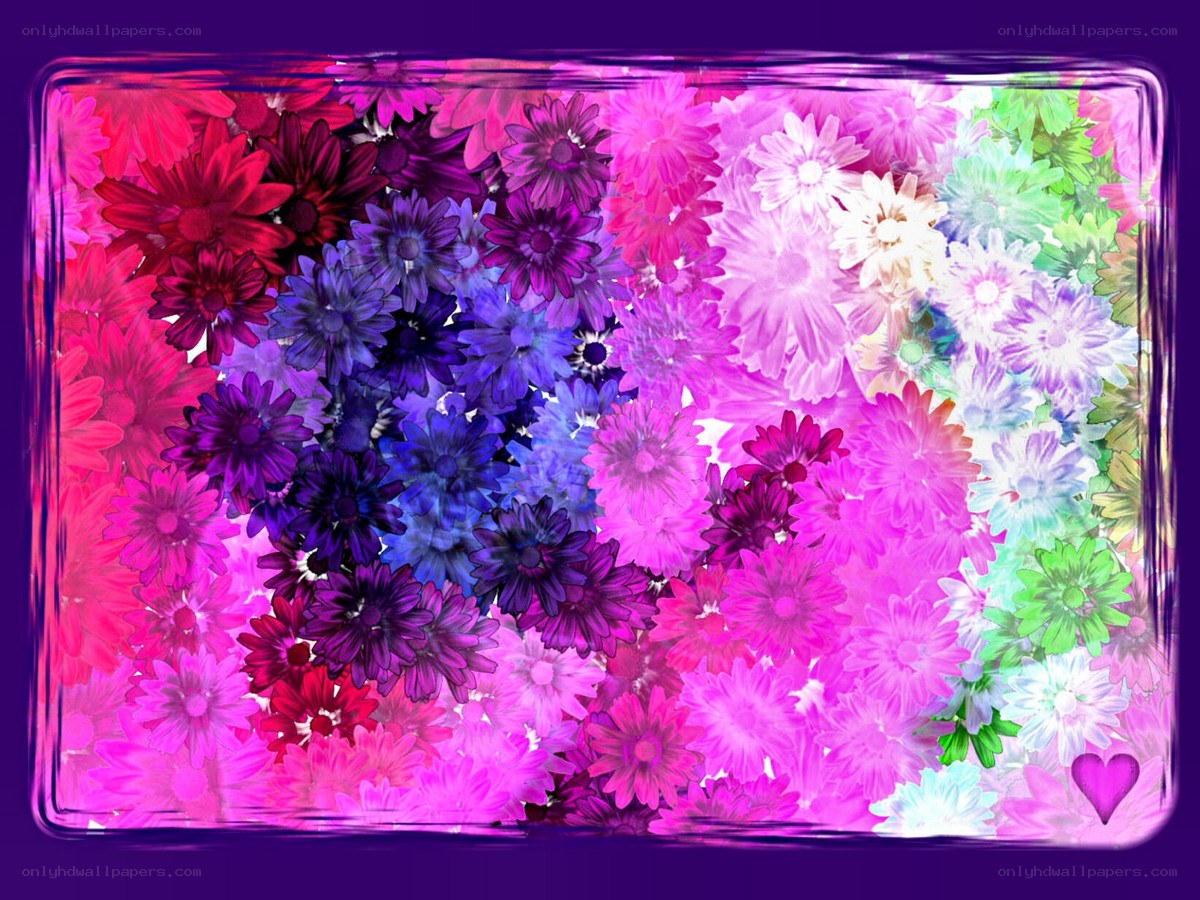 colorful flower collage