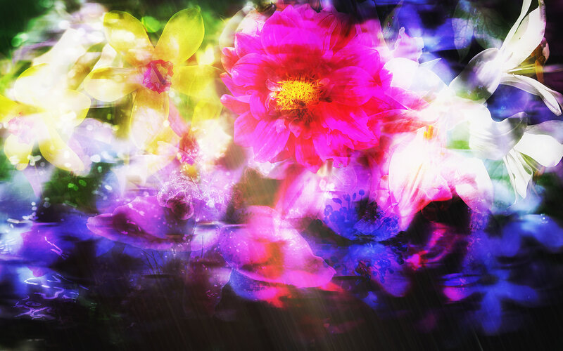 Colorful Flower Collage — Pink, Vibrant, Digital Art