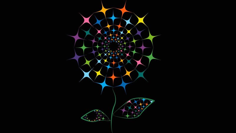 Colorful Flower Design — Black, Abstract