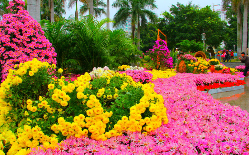 Colorful Flower Display — Pink, Vibrant