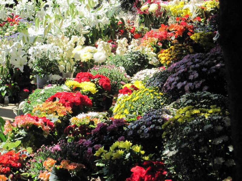 Colorful Flower Display — Red