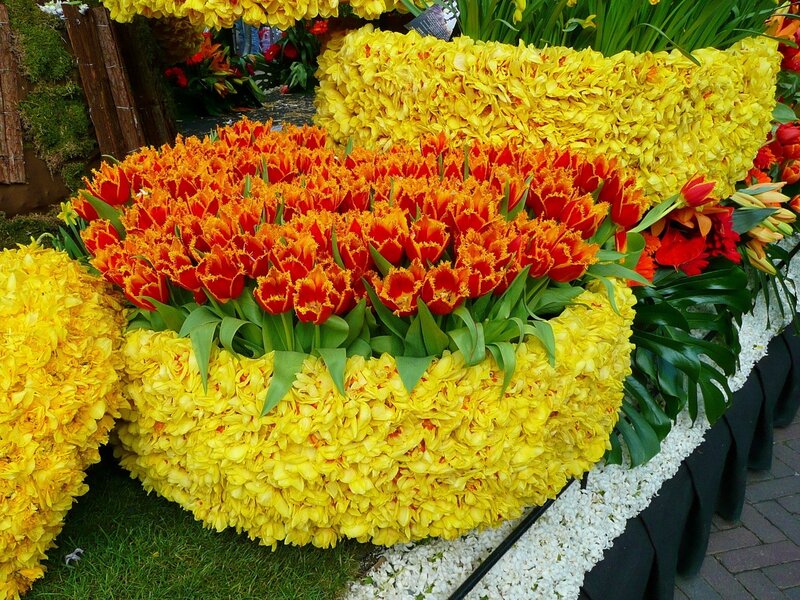 Colorful flower display