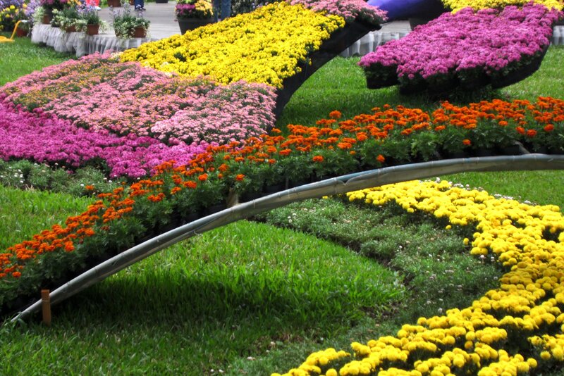 Colorful Flower Display — Yellow