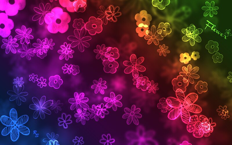 colorful flower doodle background