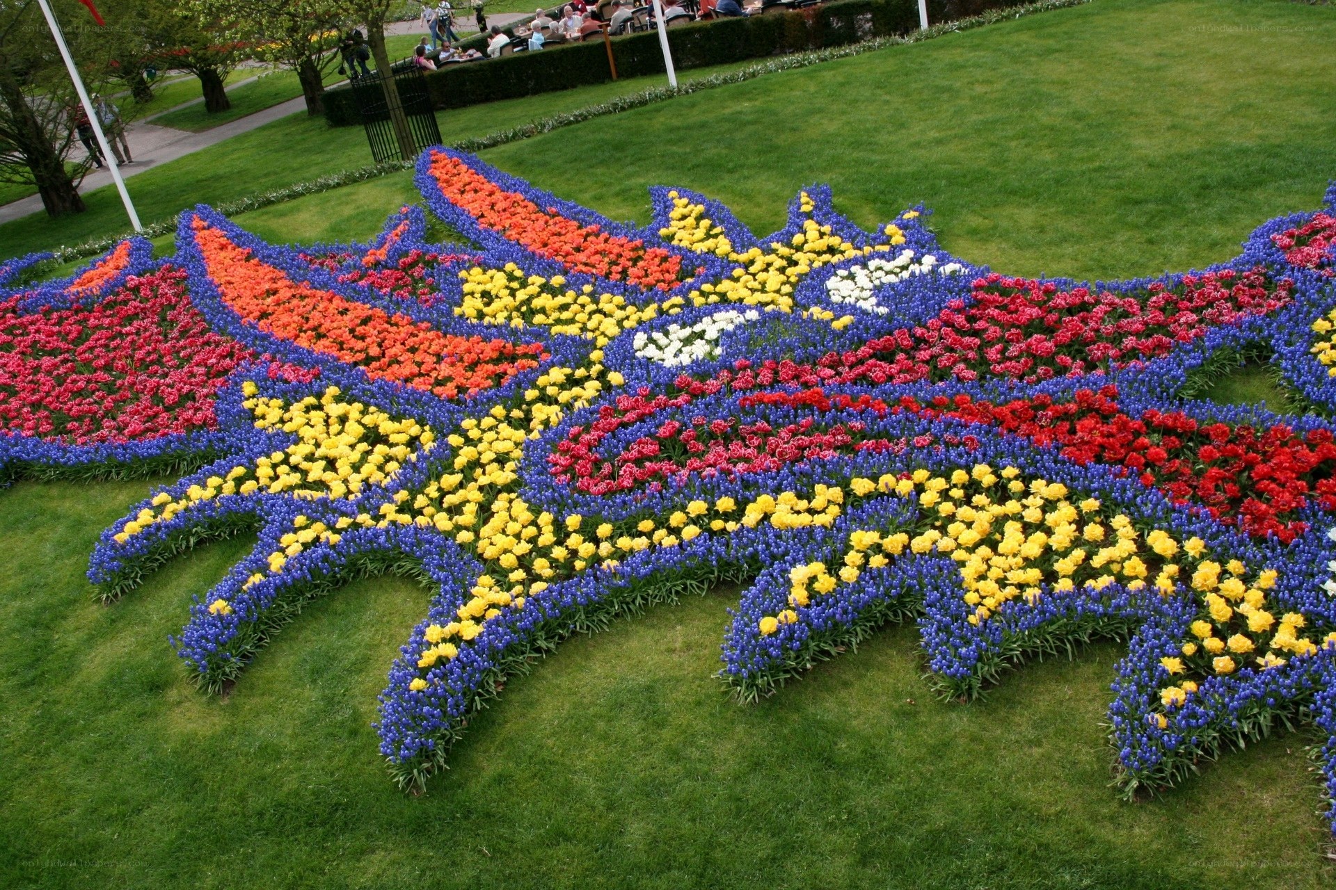 Colorful flower dragon design