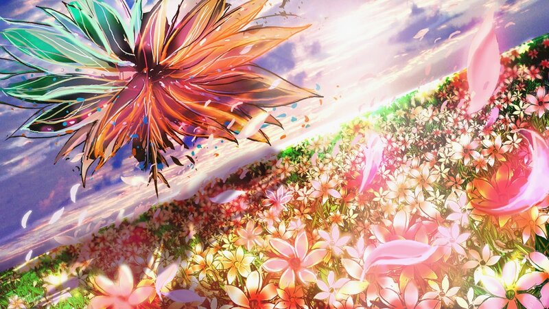 colorful flower field at sunset