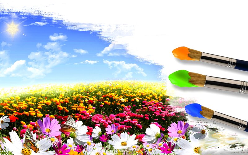 Colorful Flower Field — Blue, Serene, Afternoon