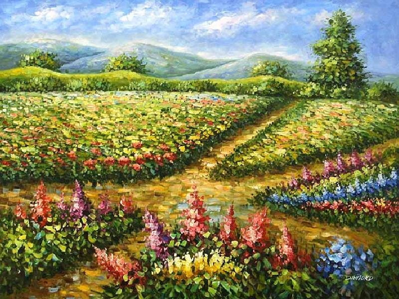 Colorful flower field landscape