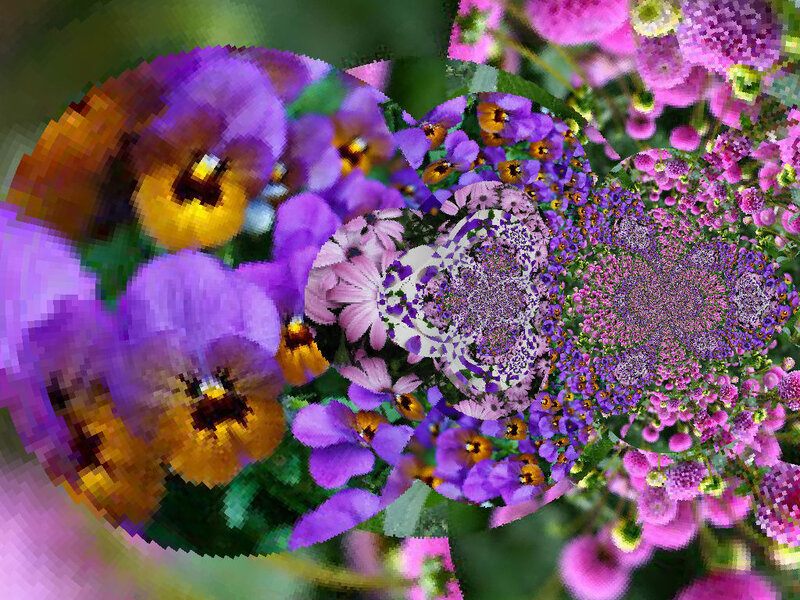 Colorful Flower Fractal