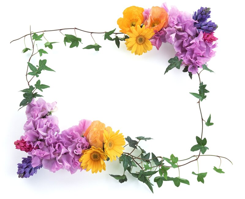 colorful flower frame
