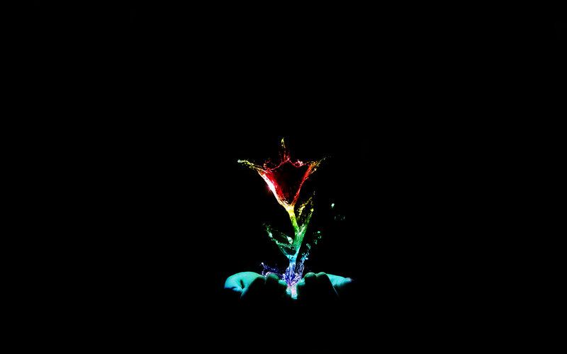 Colorful flower from hands