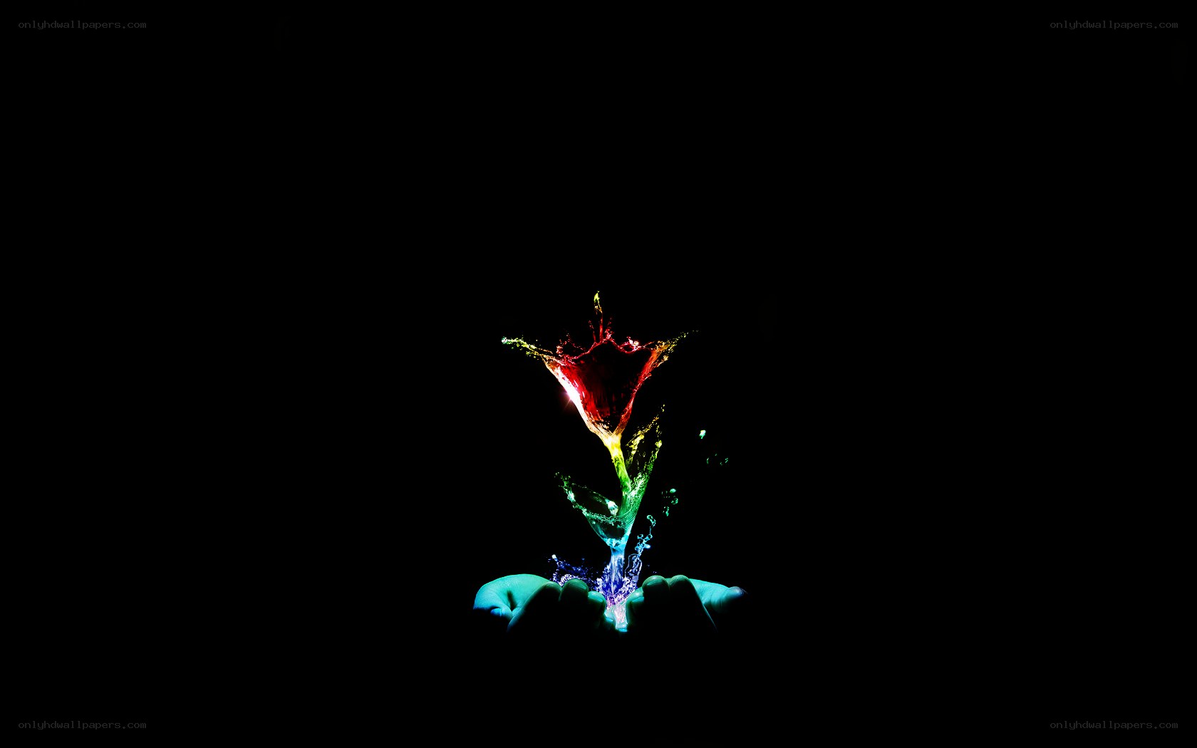 Colorful flower from hands
