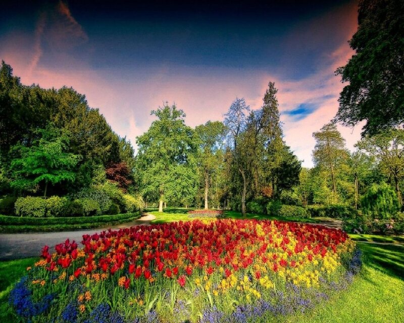 Colorful flower garden at sunset