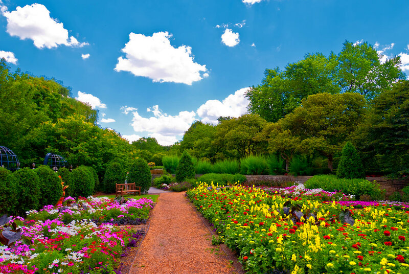 Colorful Flower Garden — Blue, Serene, Afternoon, Photograph, Path