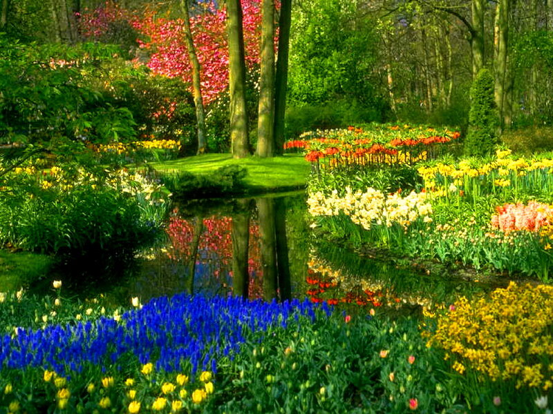 Colorful Flower Garden — Blue, Serene