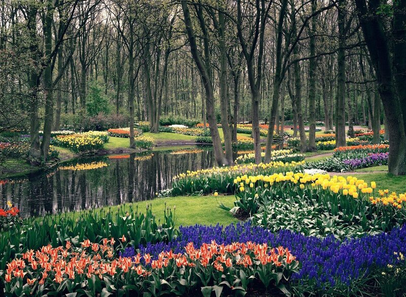 Colorful flower garden by a pond