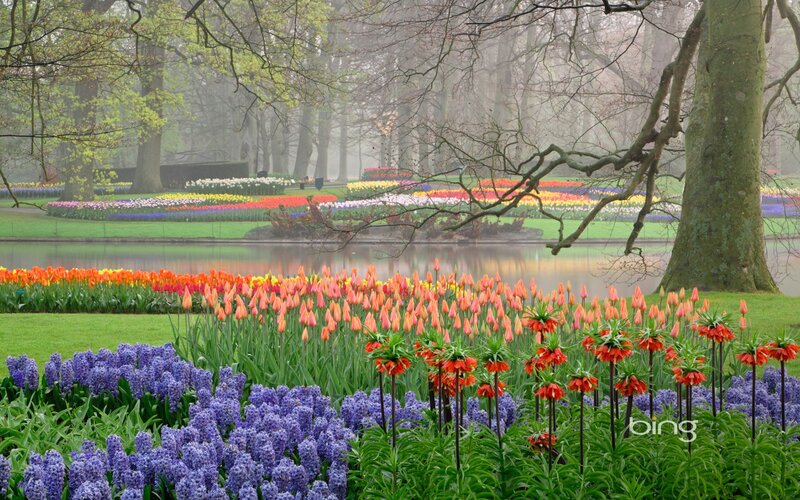 Colorful flower garden by a pond