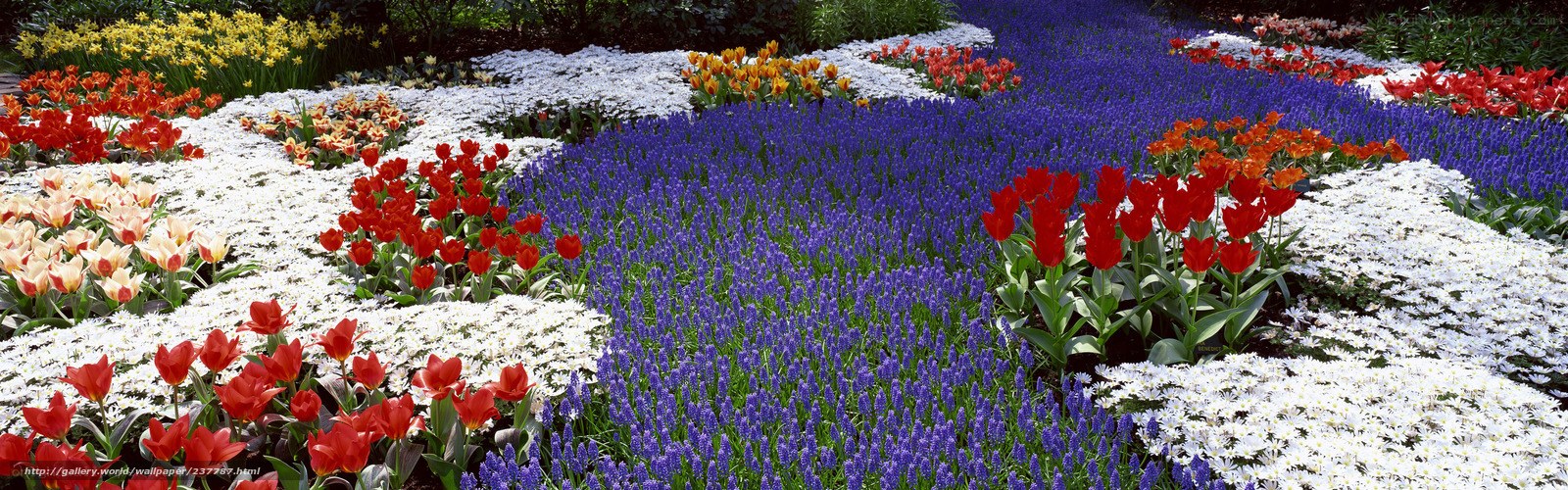 Colorful flower garden display