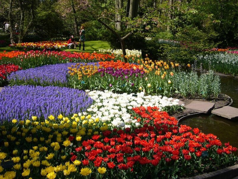 Colorful flower garden display