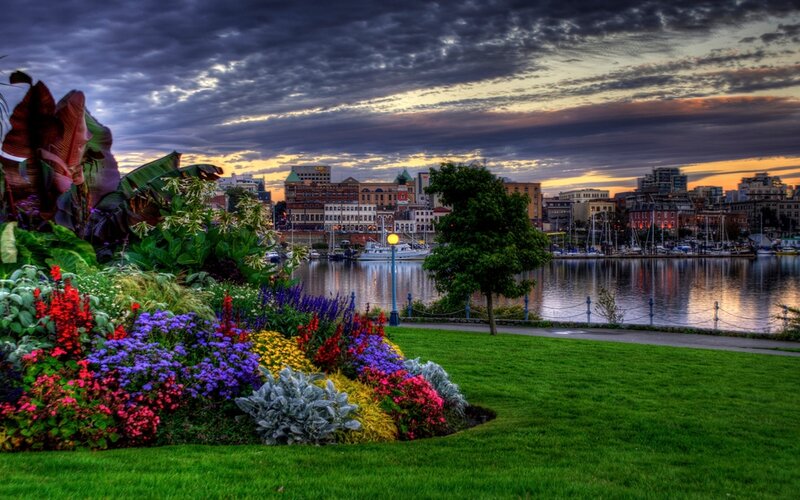 Colorful Flower Garden — Green, Dramatic