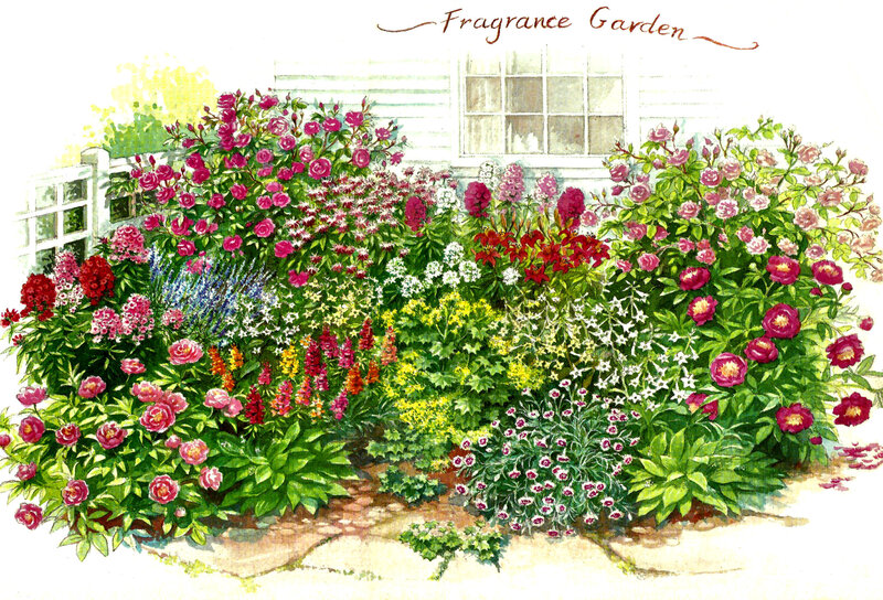 Colorful Flower Garden — Green, Serene, Afternoon, Illustration