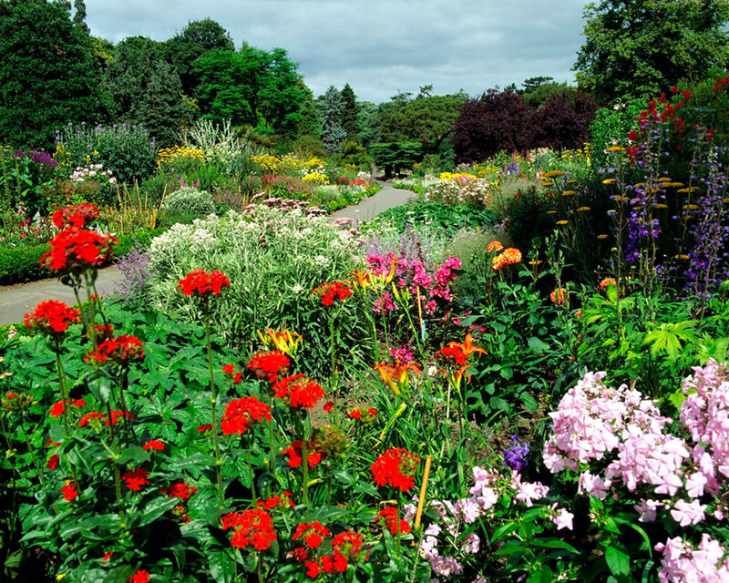 Colorful Flower Garden — Green, Serene, Afternoon, Photograph, Path, Trees