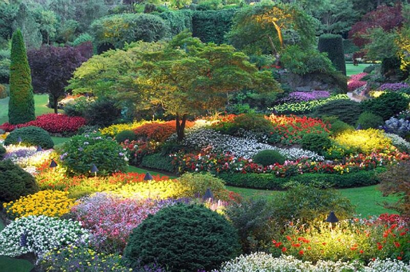 Colorful Flower Garden — Green, Serene, Night, Photograph, Trees